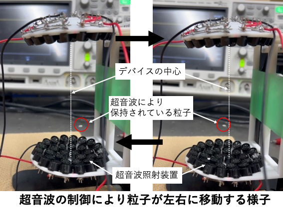 森田・今城研究室